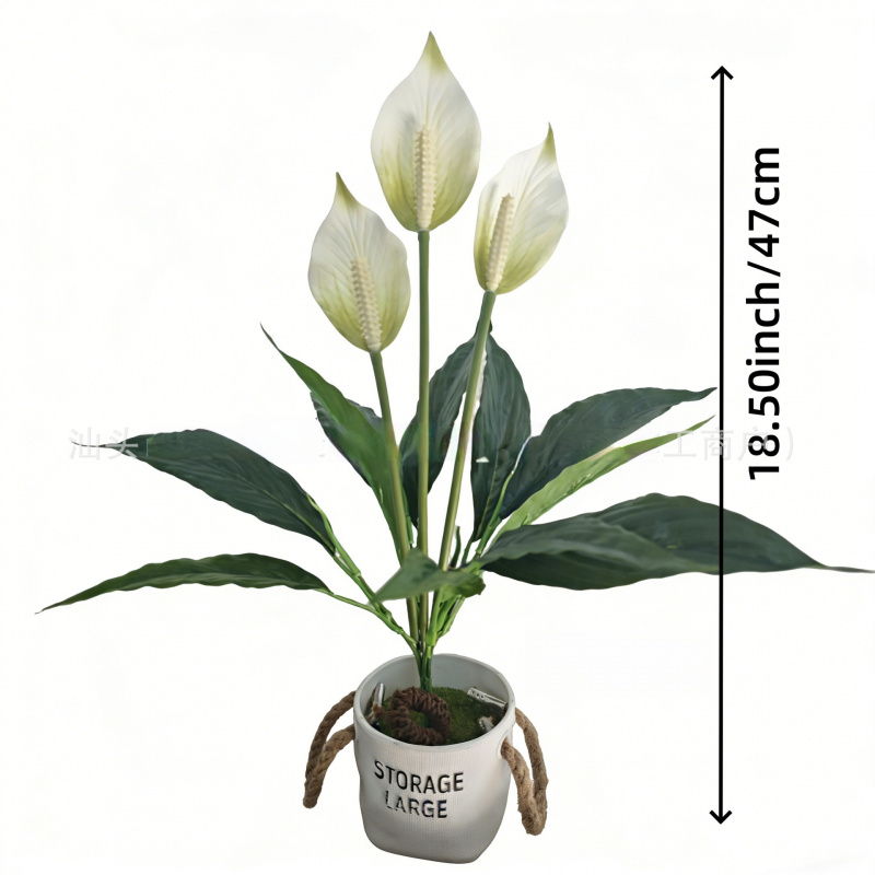 ต้นไม้ประดิษฐ์ลายลิลลี่สีขาวขน - Peace Lily White บทวิจารณ์และราคา