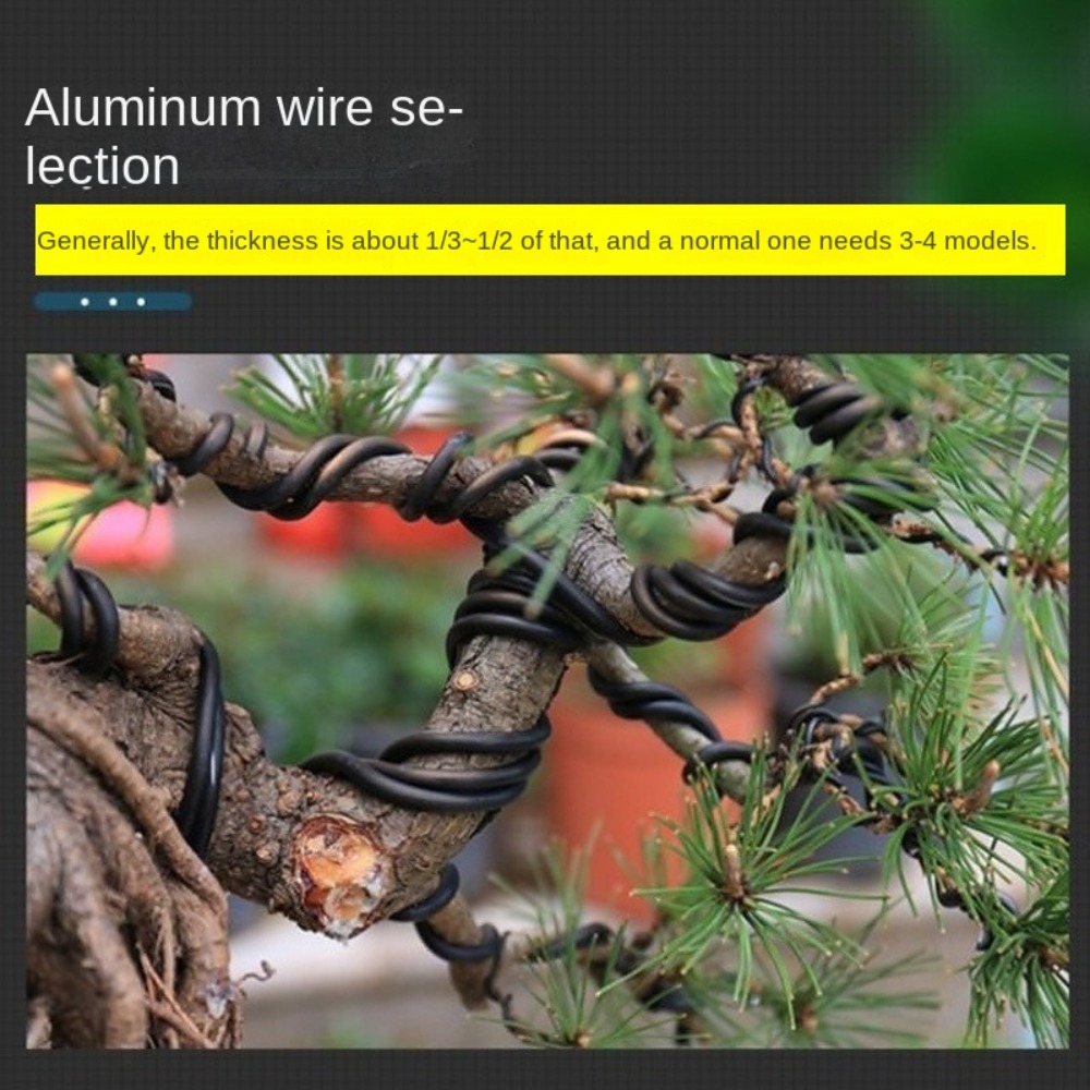ลวดอลูมิเนียมสำหรับบอนไซ ขนาด  - Plant Parent Tools บทวิจารณ์และราคา