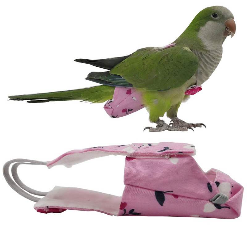 Parrot ผ้าอ้อม Bowtie น่ารักสี - Plant Parenthood บทวิจารณ์และราคา