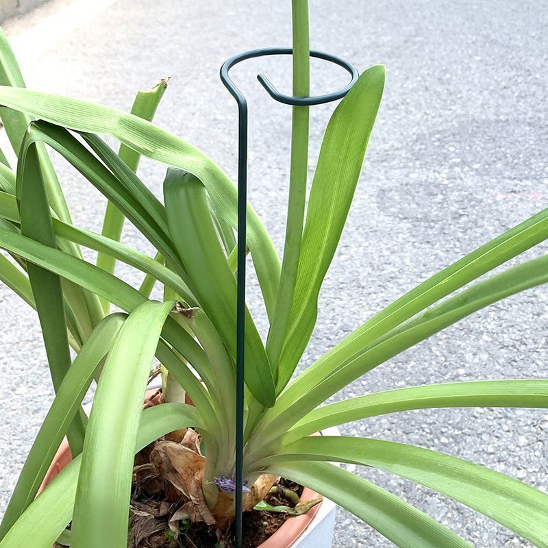 1-10pcs โลหะ SINGLE Stem พืชไม - Plant Parent Tools บทวิจารณ์และราคา