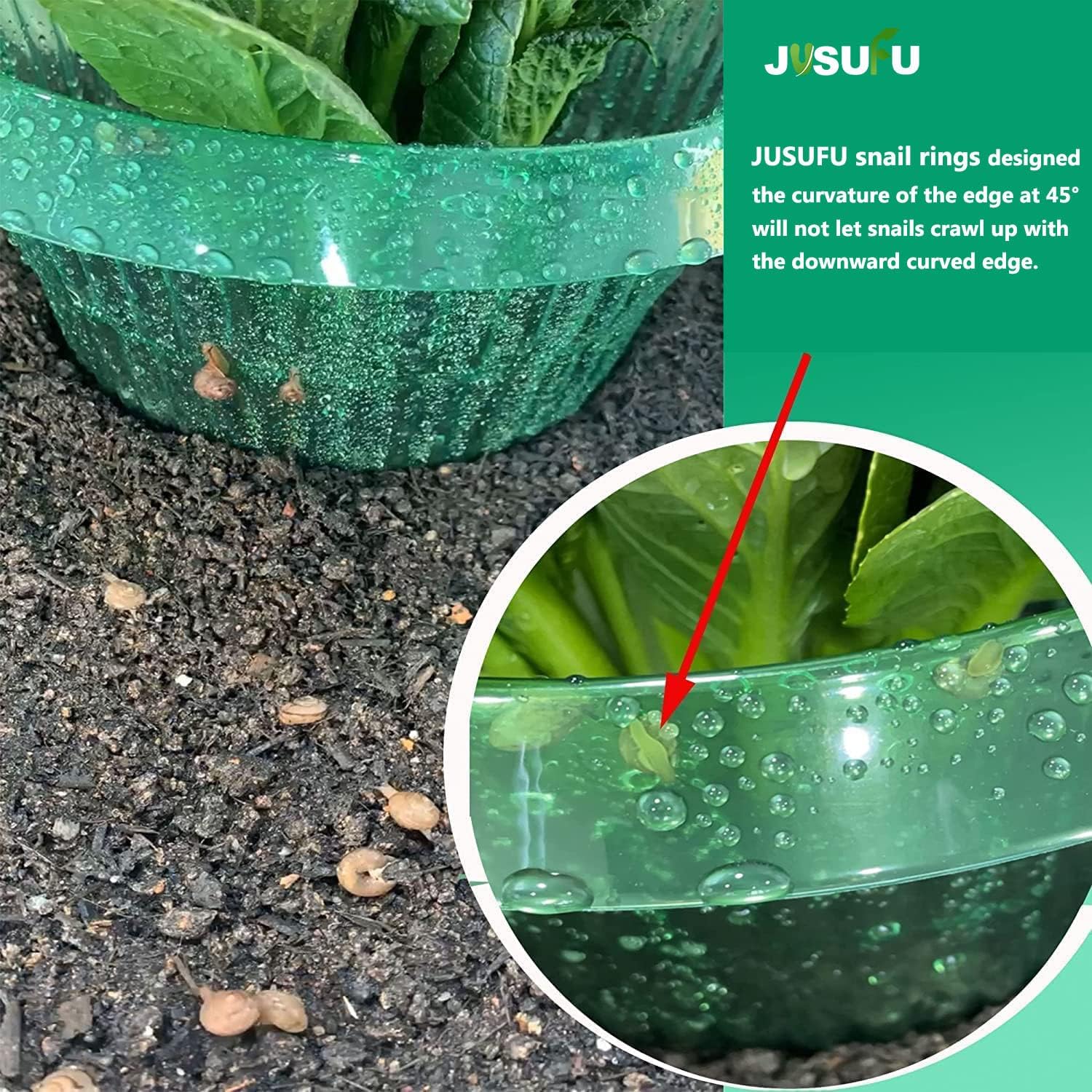 วงแหวนป้องกันหอยทากสำหรับต้นไม - Plant Parent Tools บทวิจารณ์และราคา