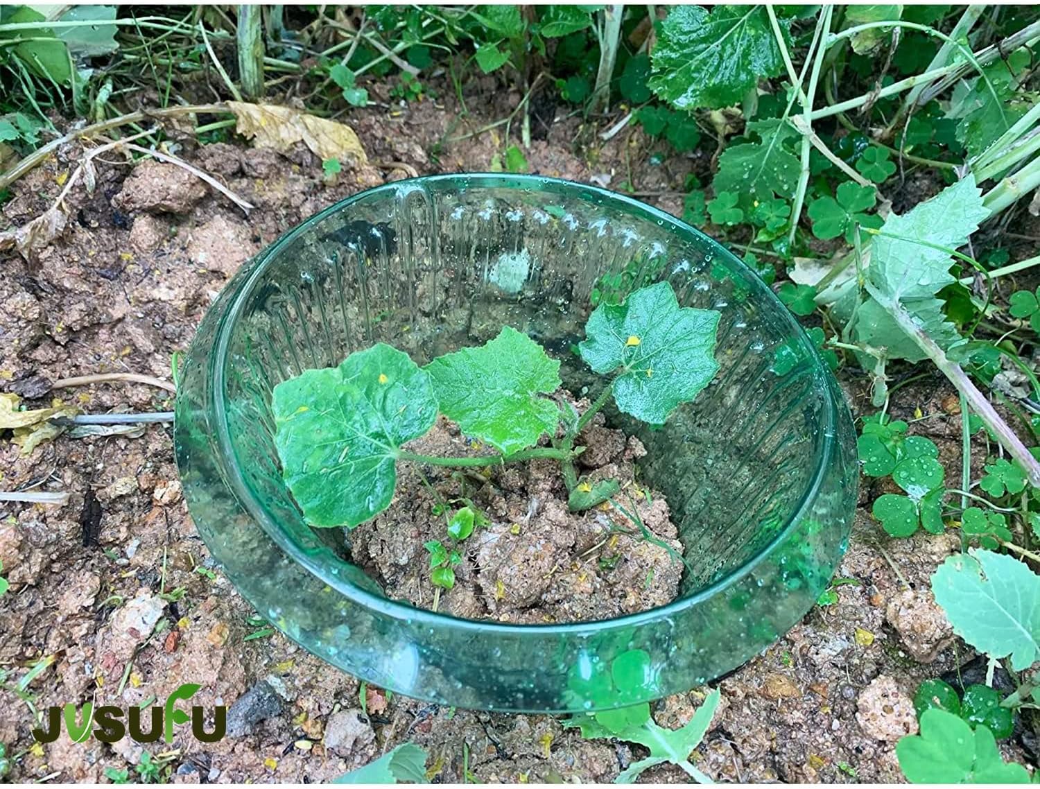วงแหวนป้องกันหอยทากสำหรับต้นไม - Plant Parent Tools บทวิจารณ์และราคา