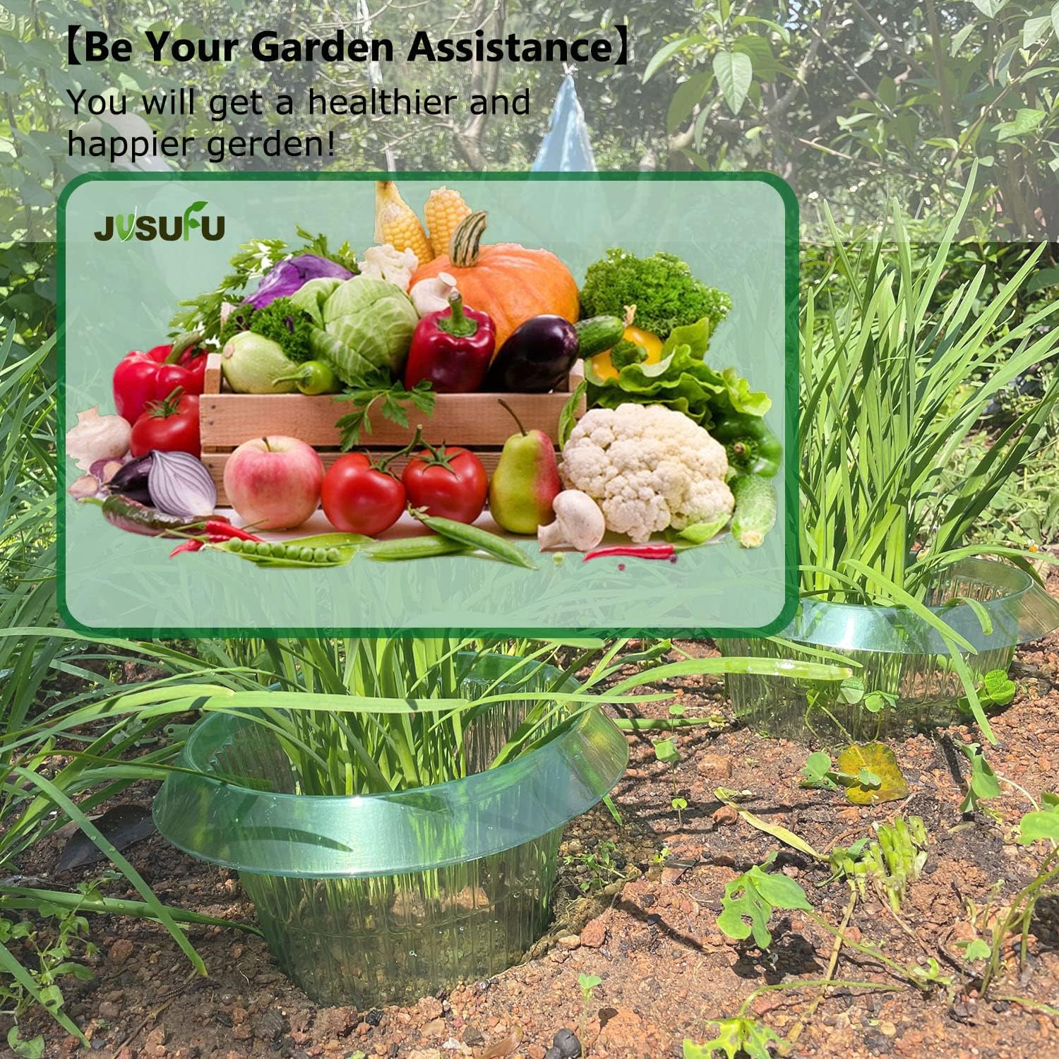 วงแหวนป้องกันหอยทากสำหรับต้นไม - Plant Parent Tools บทวิจารณ์และราคา