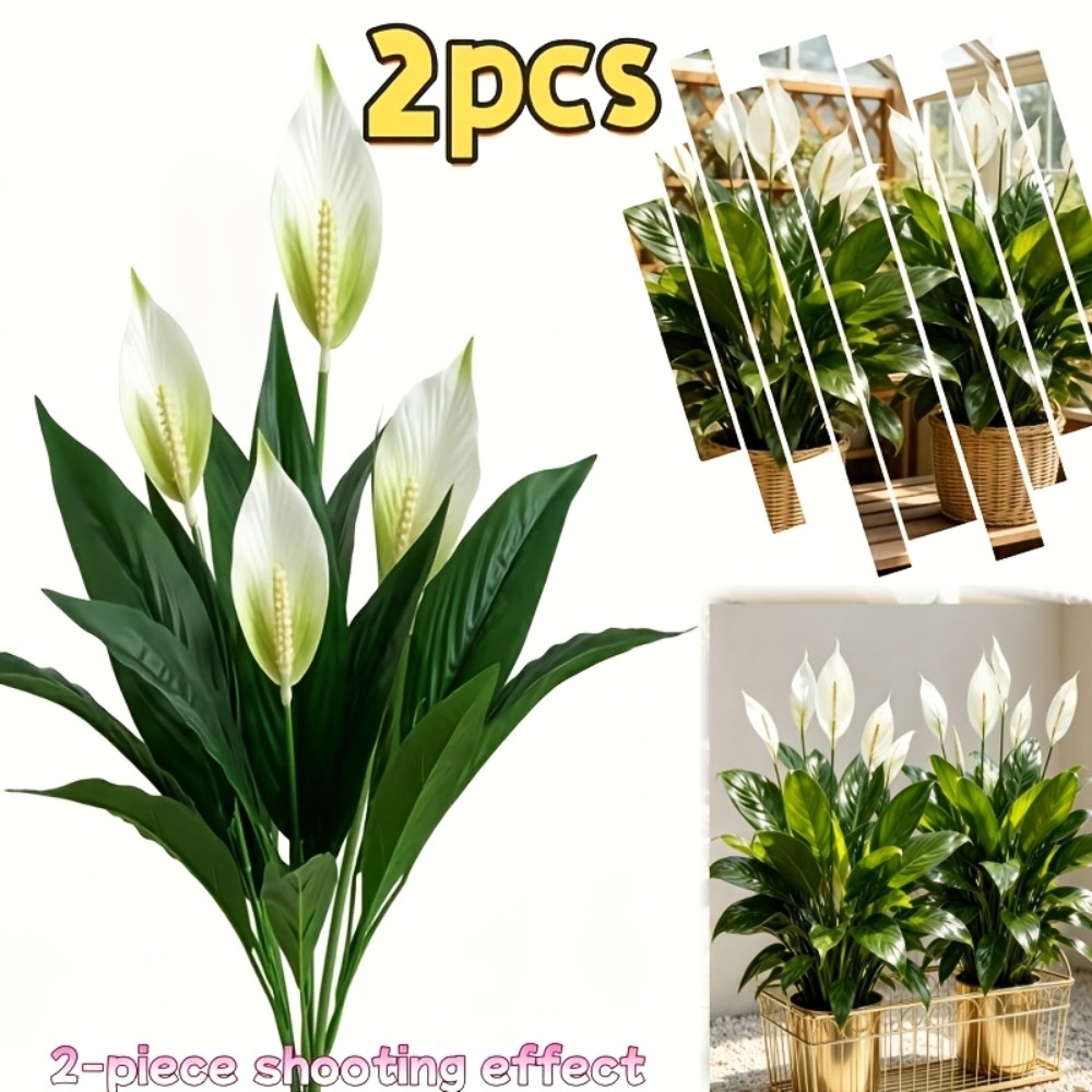 ต้นกล้วยไม้สีขาวประดิษฐ์ขนาดให - Peace Lily White บทวิจารณ์และราคา